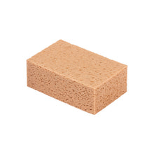 Load image into Gallery viewer, Esponja AVANA